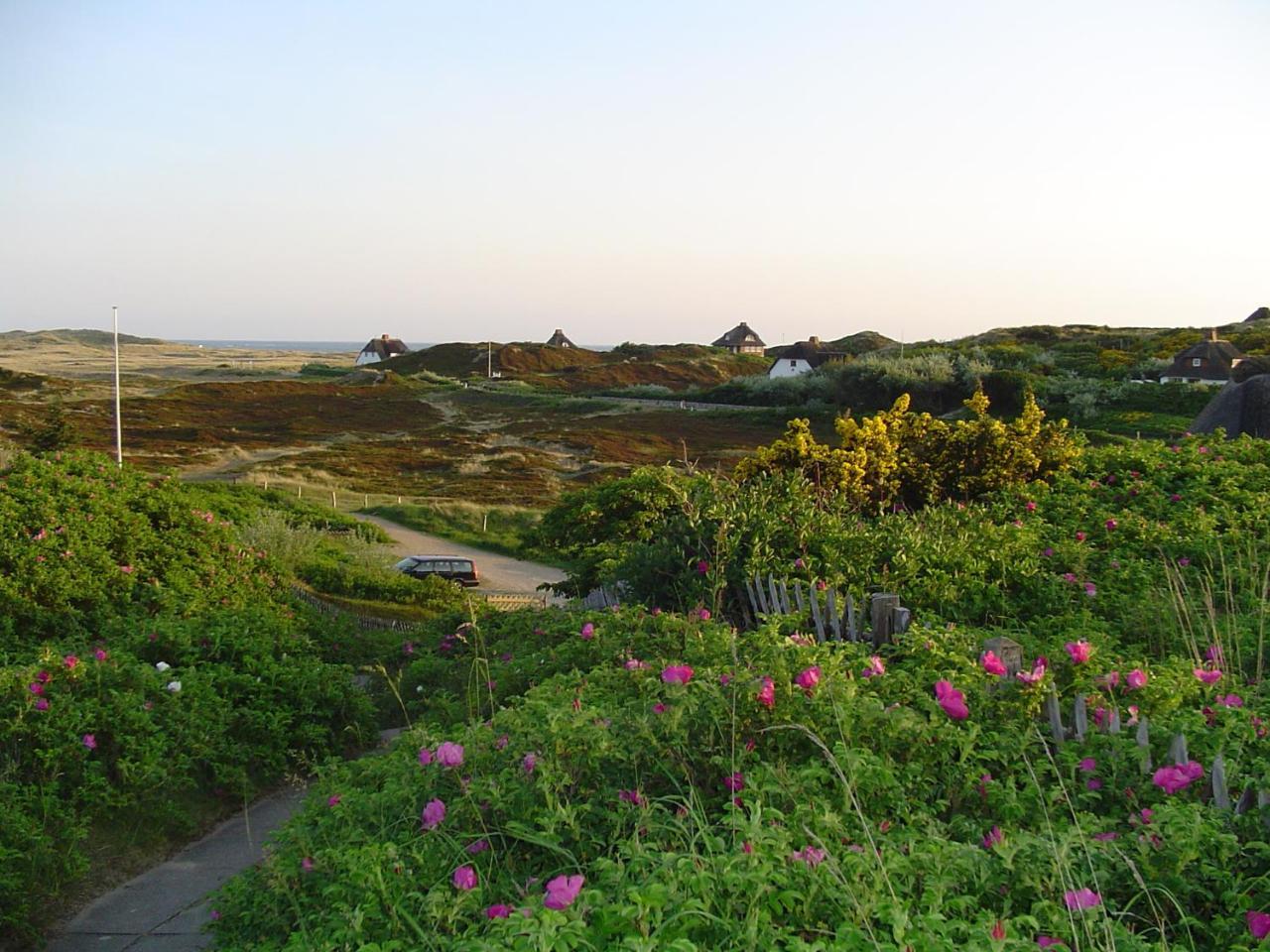 Giebelhaus Frida - Sylt, Westerland Bagian luar foto
